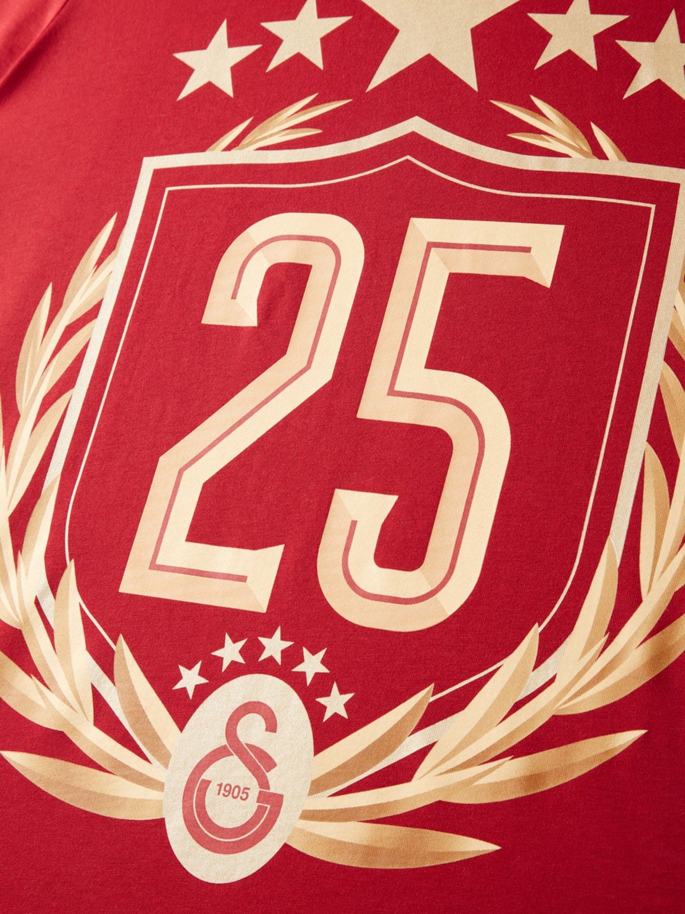 Galatasaray Lisanslı 2025 Şampiyonluk Kırmızı Özel Yetişkin T-Shirt