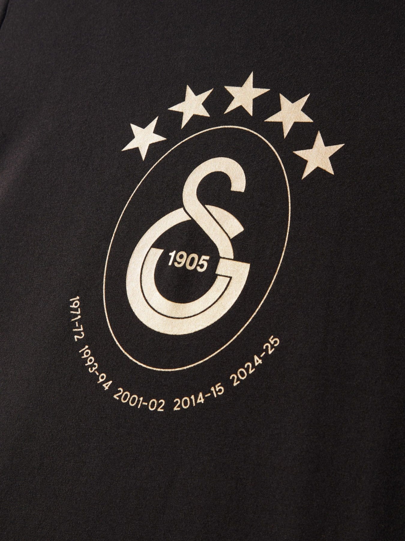 Galatasaray Lisanslı 2025 Logolu Şampiyonluk Siyah T-Shirt Şampiyonluk Özel Ahşap Kutulu