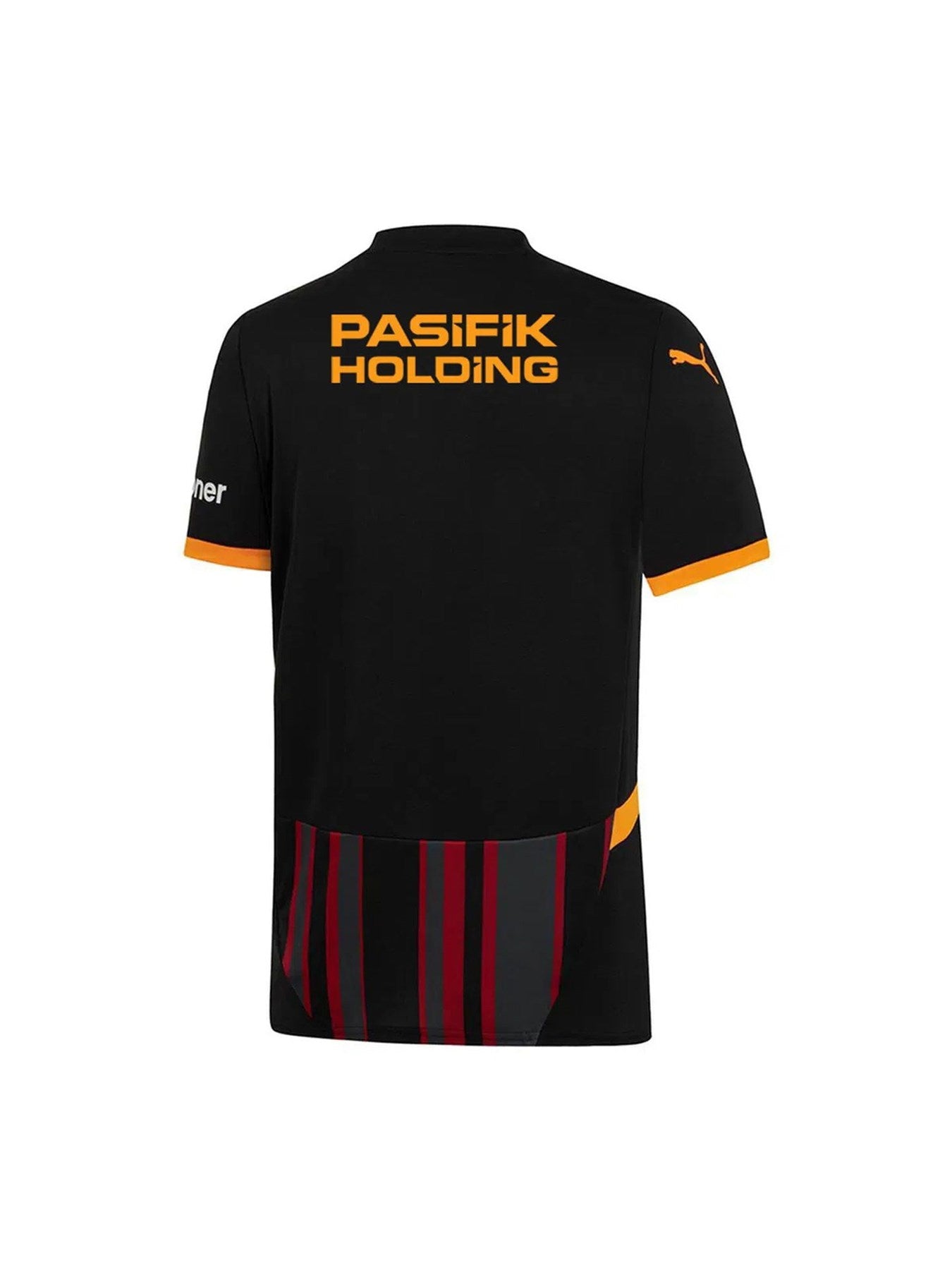 Galatasaray Lisanslı 2024/2025 Alternatif Forma