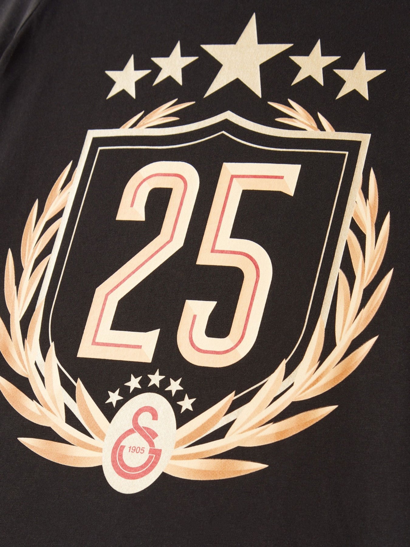 Galatasaray Lisanslı 2025 Şampiyonluk Özel Siyah Çocuk T-Shirt