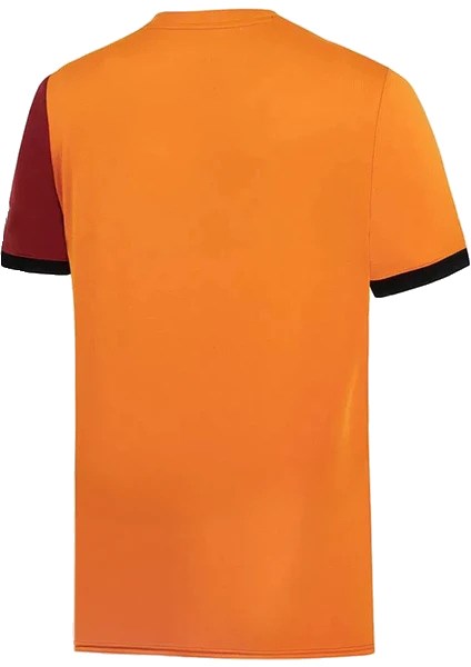 Galatasaray Lisanslı 2024-2025 İç Saha Taraftar Forması
