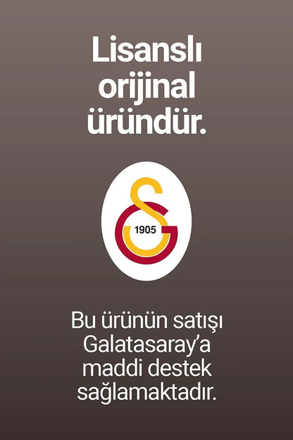 Galatasaray Lisanslı Parçalı Forma Anahtarlık Aslan Ahşap Kutulu